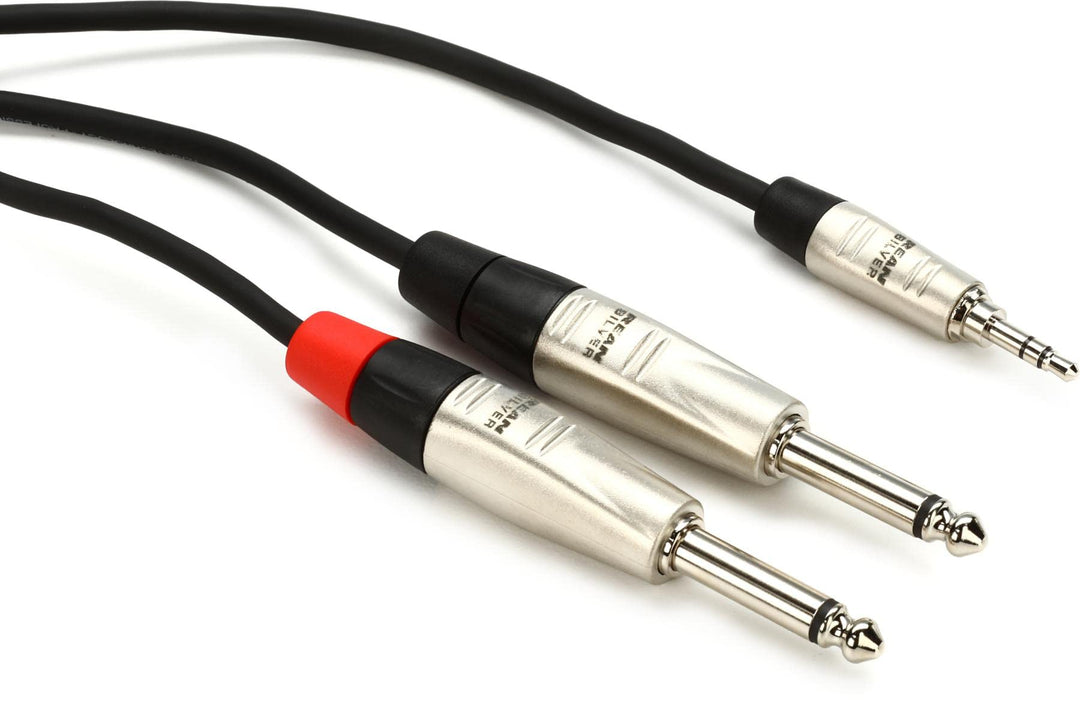 10FT 3.5 mm TRS to Dual 1/4 in TS Pro Stereo Breakout Audio Y Cable Hosa