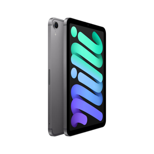 Apple 6th Gen iPad Mini