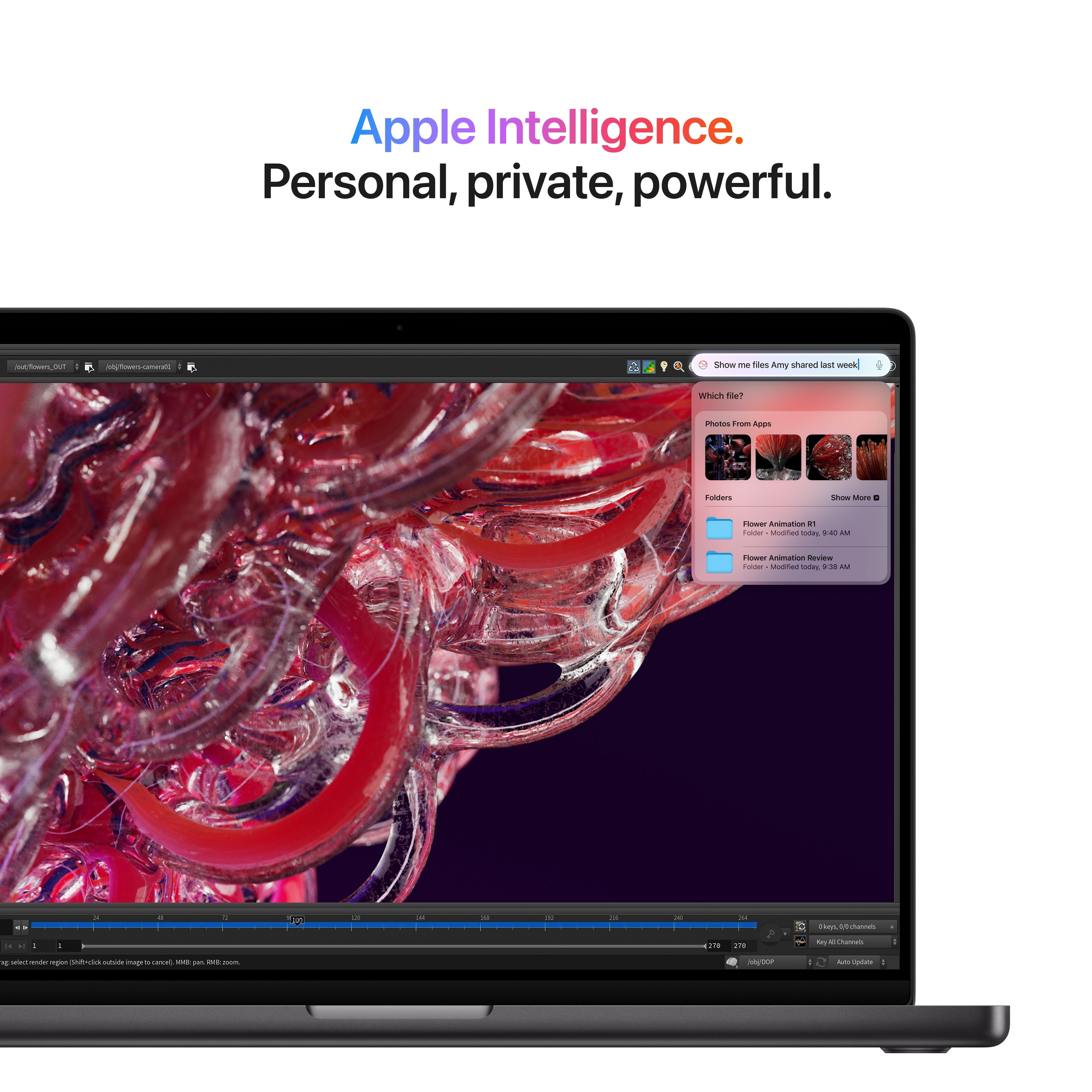 Apple 16