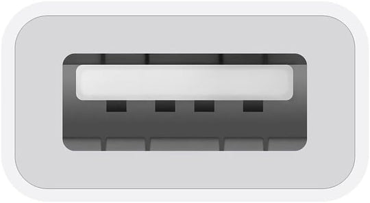 Apple USB-C to USB Adapter (2024)