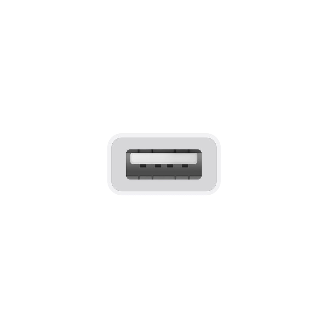(Open Box) Apple USB-C to USB Adapter (2024)