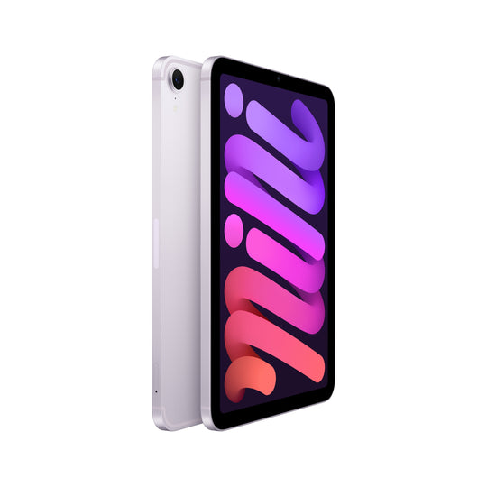 Apple 6th Gen iPad Mini